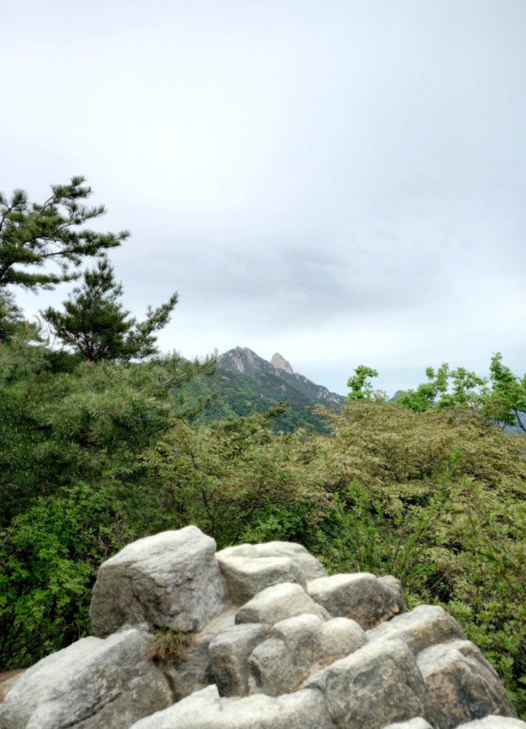  [삼각산 나들이] 삼각산 도시자연공원 ~ 칼바위 지킴터 ~ 마당바위 ~ 문필봉 (21.04.24.토)