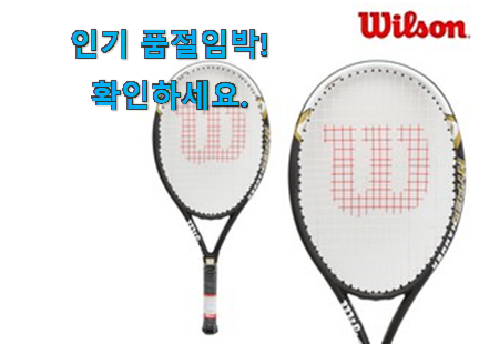 자랑스런 여자 테니스라켓 꿀템 이건 사야합니다 자랑스런 여자 테니스라켓 꿀템 이건 사야합니다