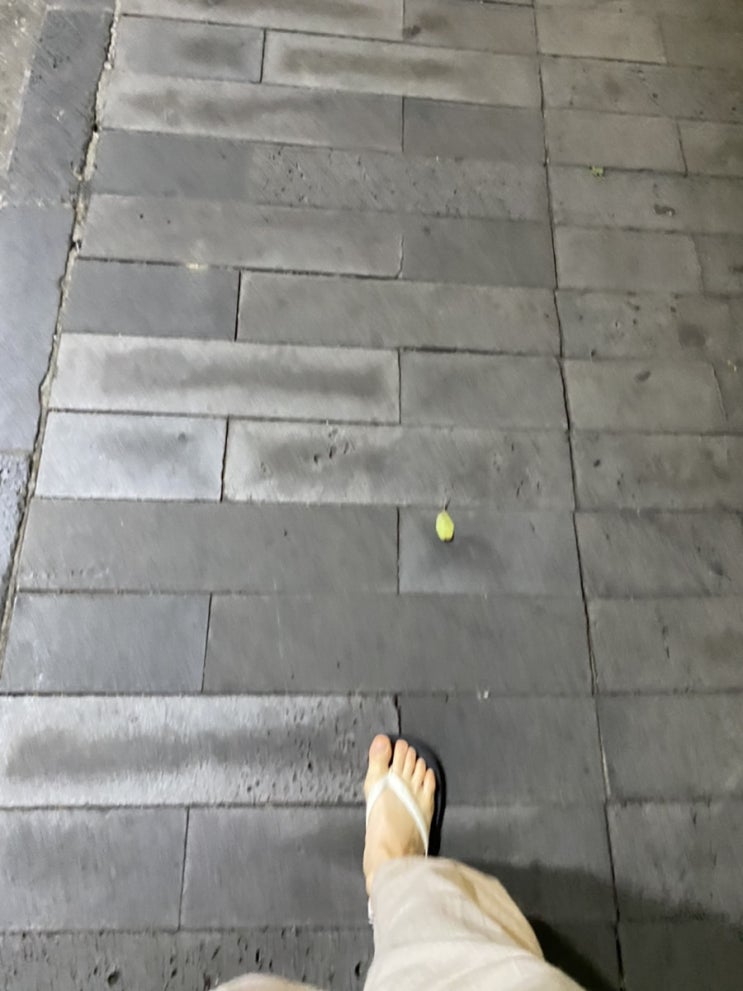  혼자 제주도 한 달 3일차