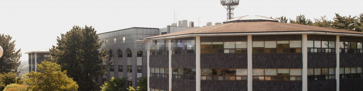 제주관광대학교 의료보건학부 안경광학과 제주관광대학교 의료보건학부 안경광학과