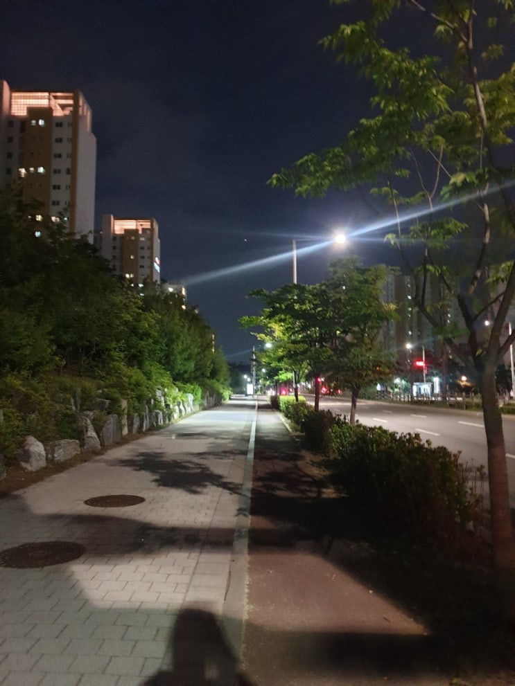  스터디 친구들이랑 회식