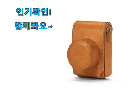  가성비템 라이카 d-lux 7 목록 친구들도 인정하네요