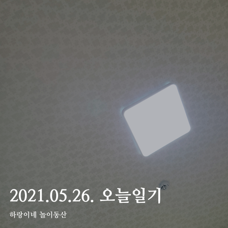  2021년 5월 26일 (수) : 작년 화재로 인해 리모델링한 고흥 친할머니댁 방문, 내일은 할머니 생신, 비가 와서 아쉬운 날