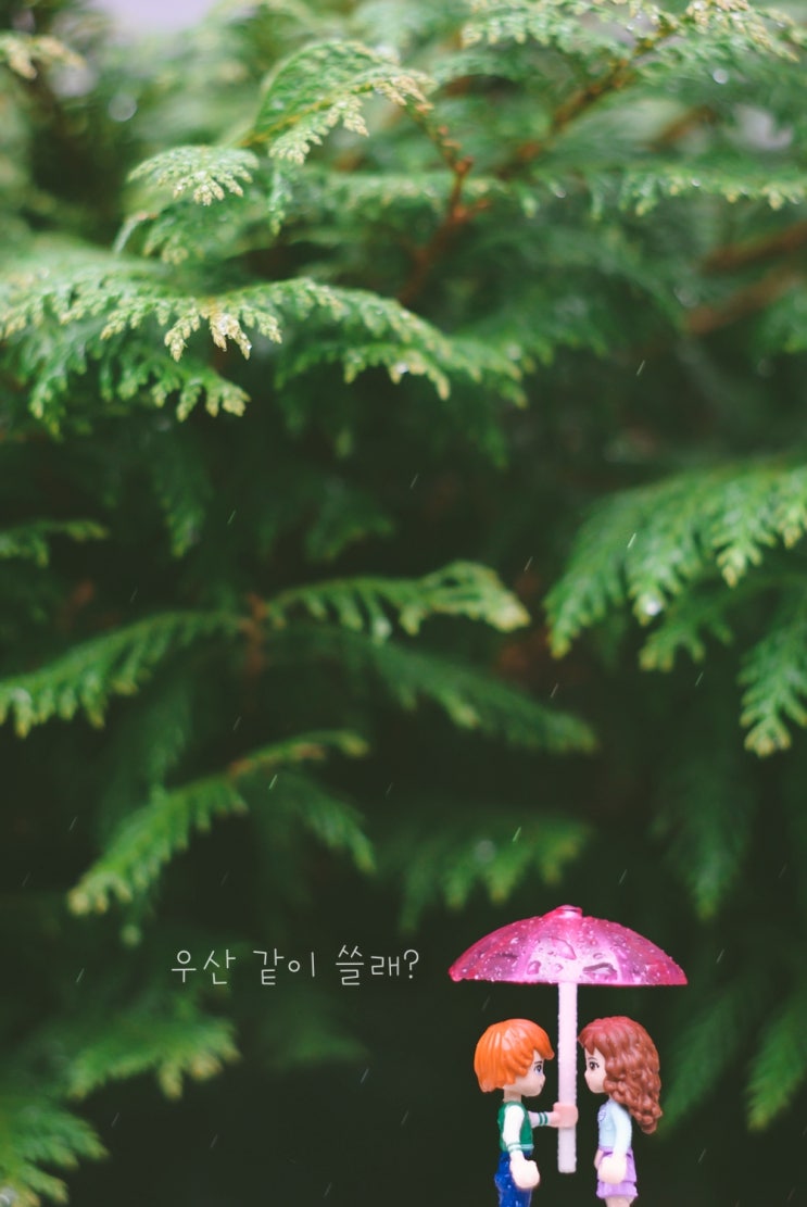  [레고프렌즈] 저기....,