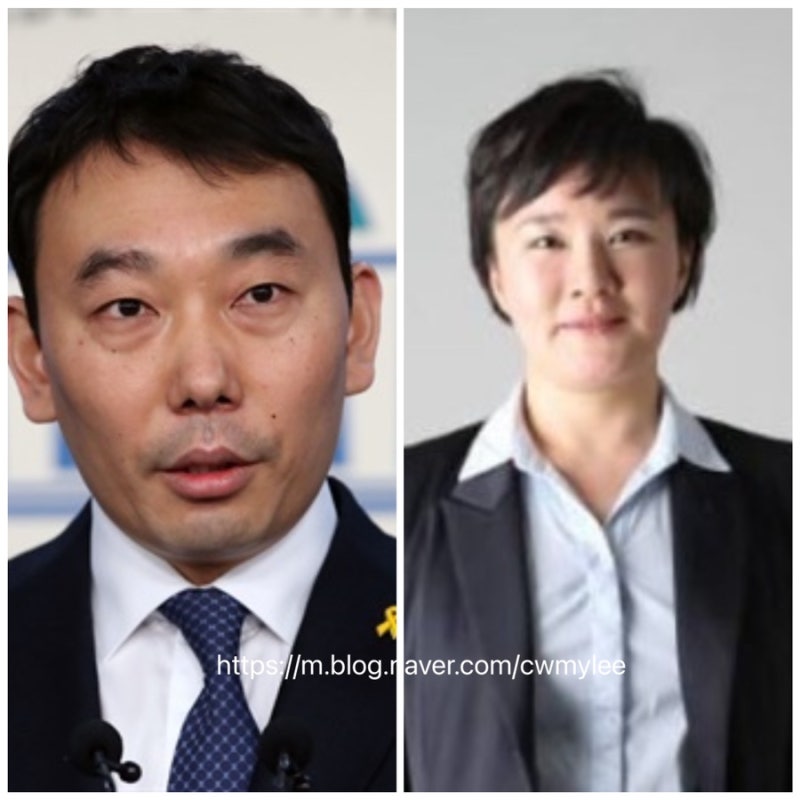 김용민 위원 나이•직업•부인•가족•학력•프로필 눈 크게 뜬다고 안똑똑해 보여 조수진 ....