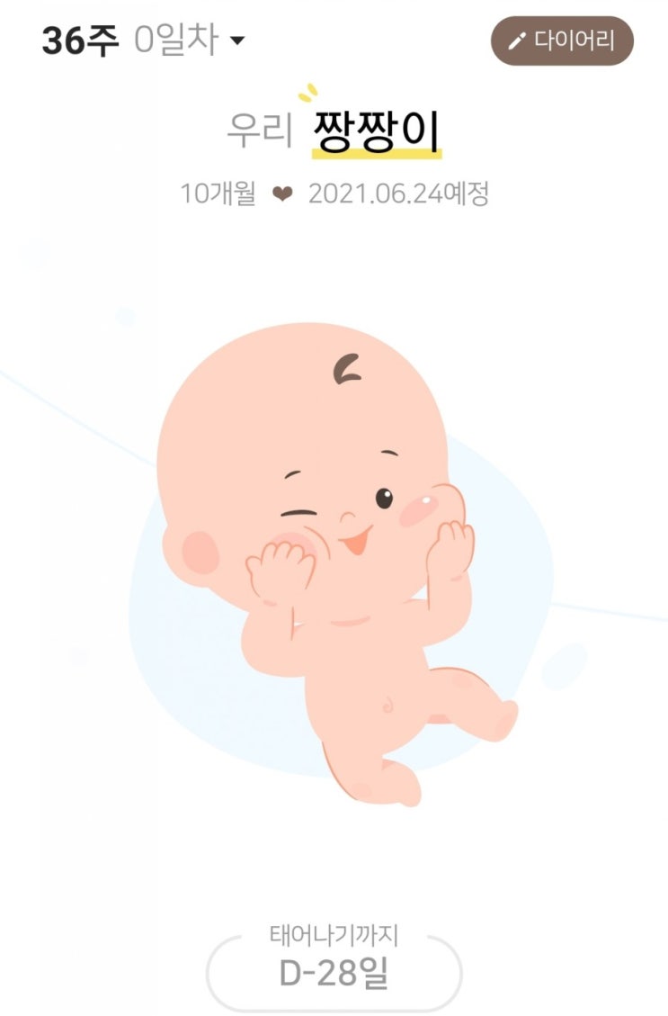  임산부 막달검사 임신 36주에 받았어요