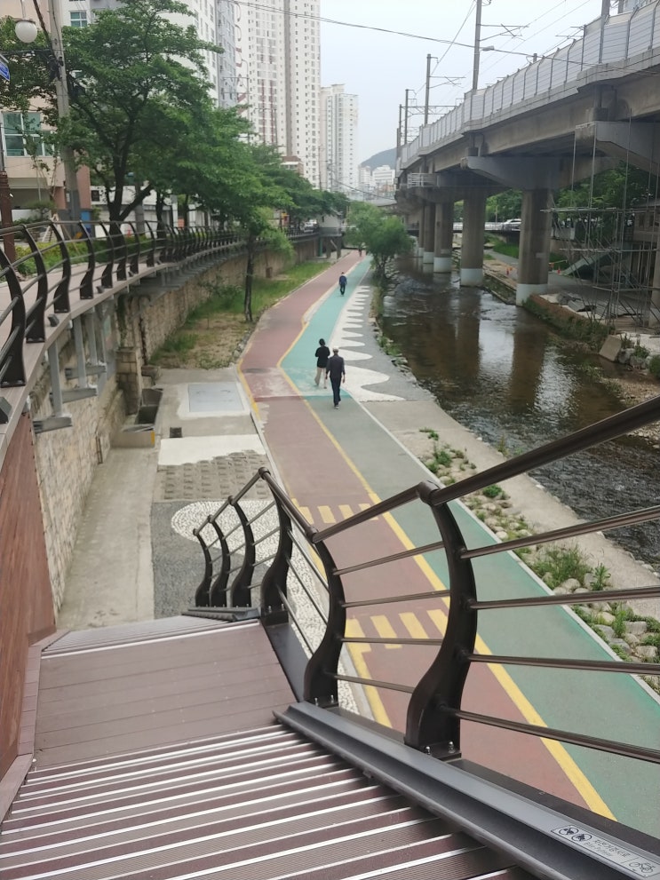  온천천 걷기