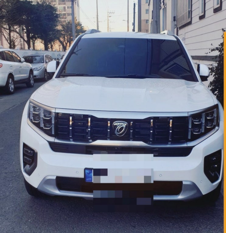  모하비더마스터장단점 솔직후기 모하비장단점