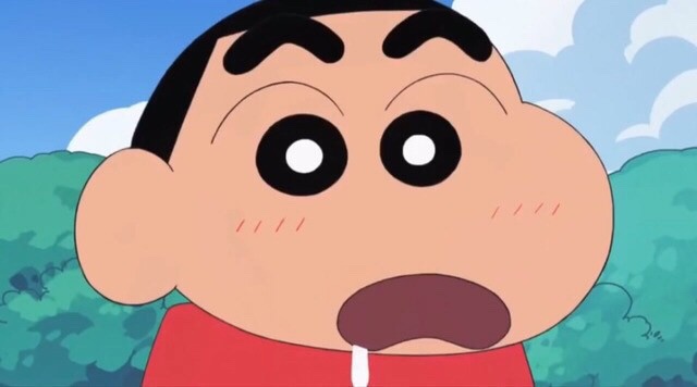  디니의 열네번째 기록