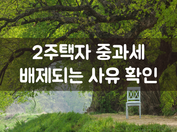  2주택자 중과세 배제되는 사유 확인