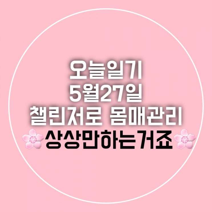 오늘일기 5월27일 챌린지로 재미있게 몸매관리 합시다