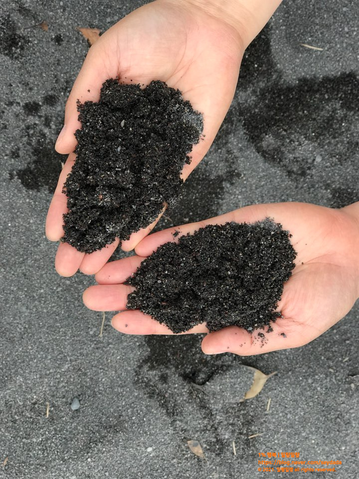  제주도 가볼만 한 곳 < 광치기해변 > 천지연폭포