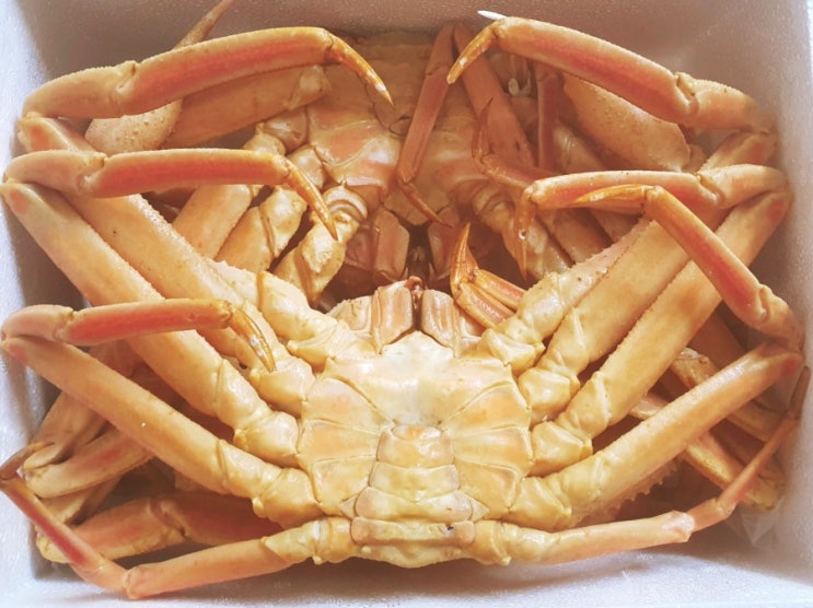  대게 먹방 마포 농수산물시장  "송도어점"