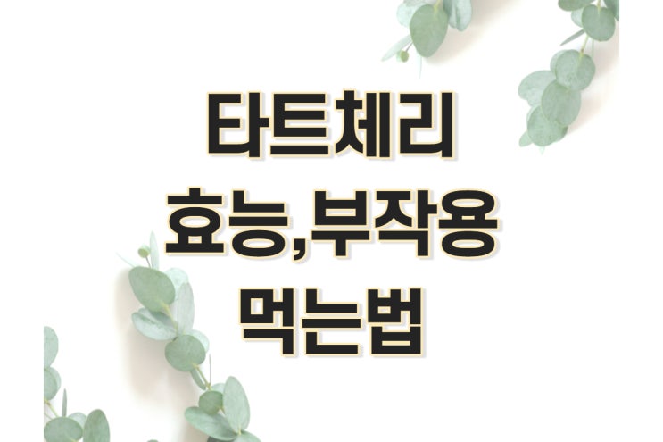  타트체리 효능, 복용법, 부작용 완벽 정리 (주스, 원액, 분말)
