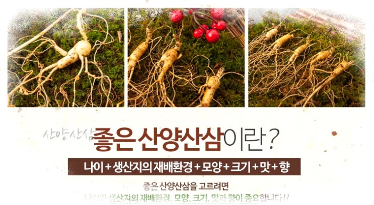 시아버지 생신선물 - 예쁜 며느리 되기 위해서는?