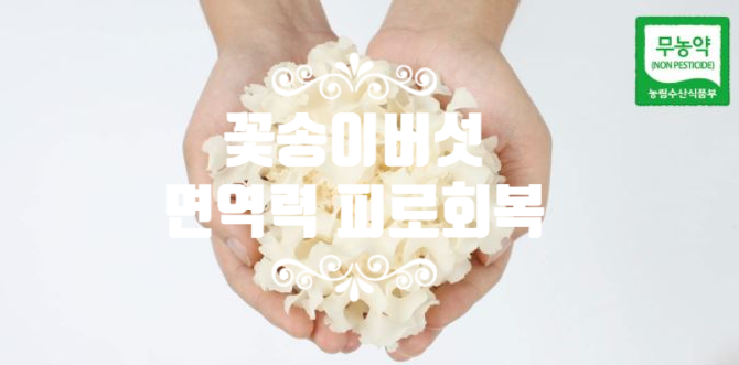  면역력 피로회복에 좋은 음식 건강식품 추천!