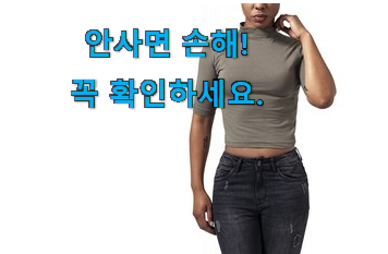 특별할인 씨디즈t55 굉장한 물건 남편도 인정하네요