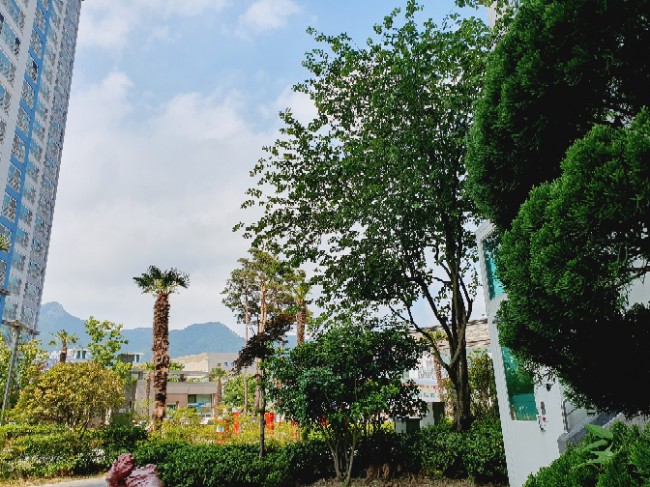  오늘도 맑음