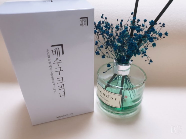  오늘 살림백서 배수구 클리너 한방에 우리집 싱크대 날파리해결