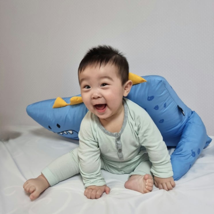  아리베베] 동물 애착 베개 한달 사용 후기, 아기 베개 추천