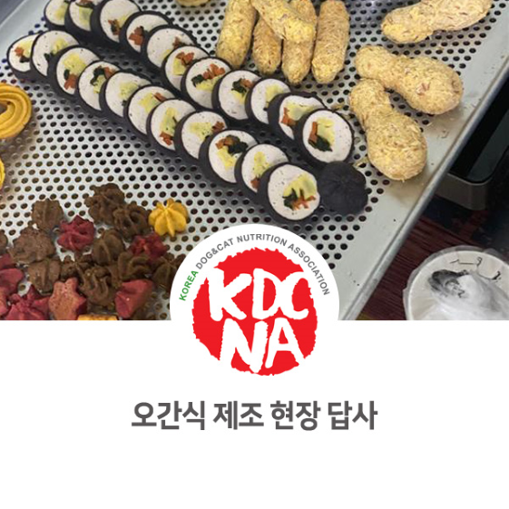  [한국반려동물영양협회/애견수제간식/창업/프랜차이즈/천안/펫푸드자격증/수원] 최수연펫푸드아카데미x오간식 제조 현장 방문 후기_793