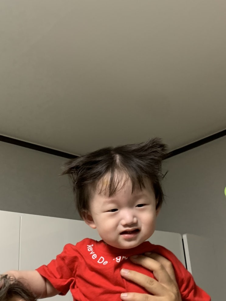  ::다시 보는 작년 5월의 까꾸