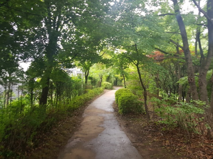  다시블챌4] 비가 오고 난 후 산책