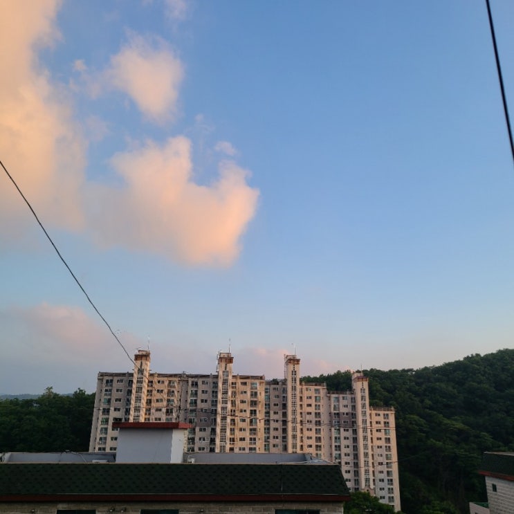  오늘의일기_20210527 목요일