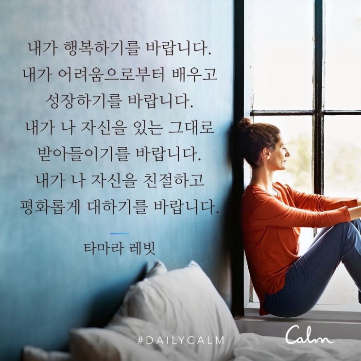 [명상 기록] 사랑과 수용