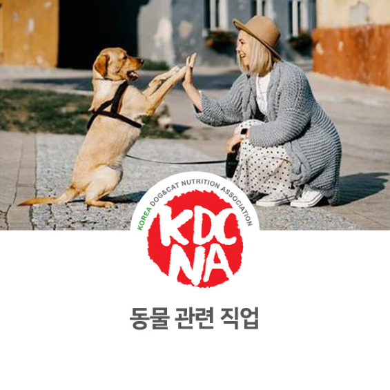 [한국반려동물영양협회/펫영양사/반려밥상/펫푸드자격증/애견수제간식창업/군산/전주/부산/대구/울산/군포] 반려동물 관련 직업을 알아보자_804