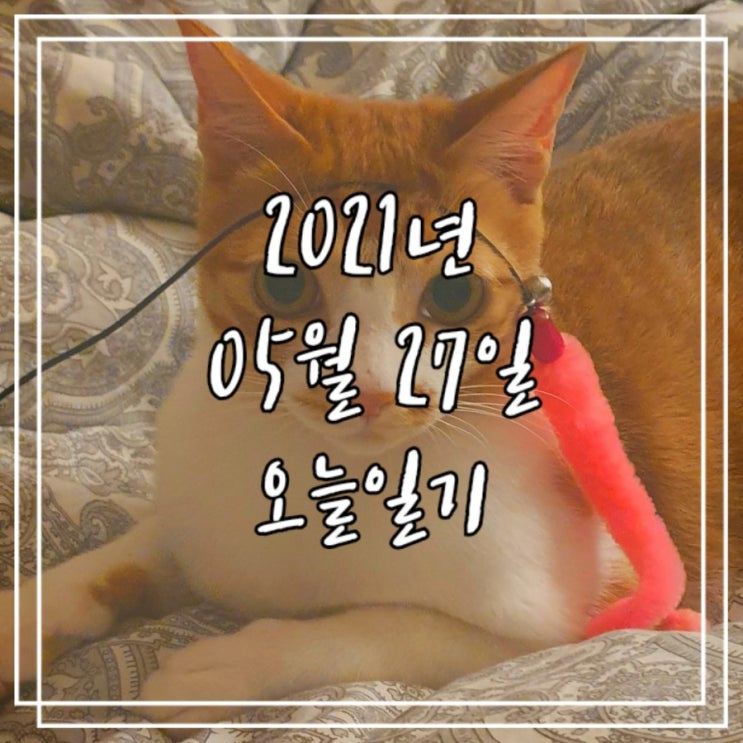  2021년 5월 27일