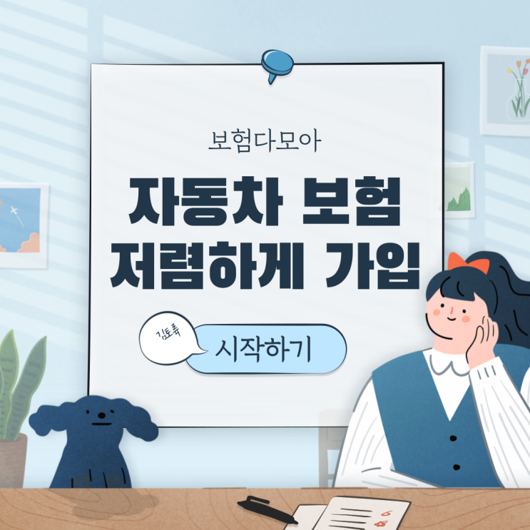  자동차 보험