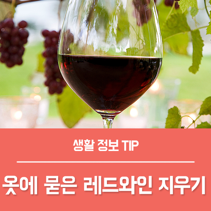  레드와인 지우기 알려드려요~
