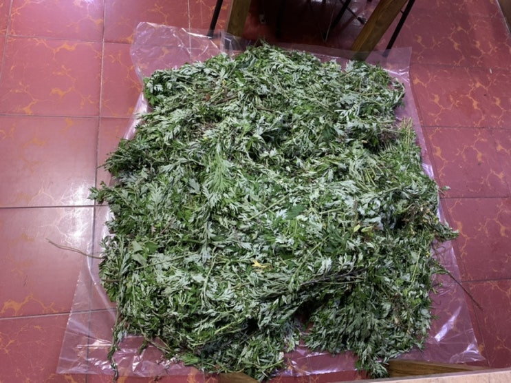  블챌 4일차, 쑥쑥