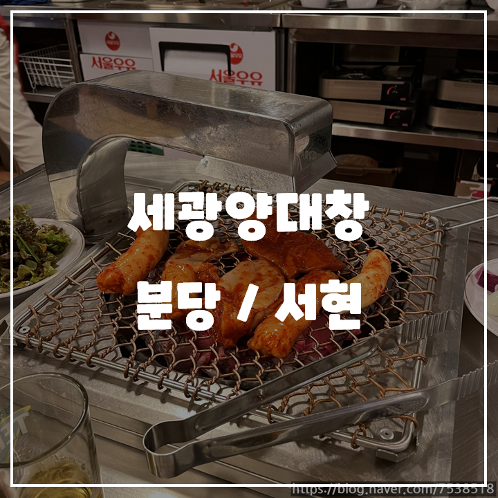  [분당/서현] 세광양대창 서현점 곱창 / 내돈내산 맛집 리뷰