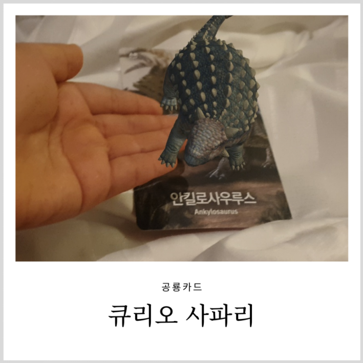공룡카드 큐리오사파리 AR인식이 되는 동물카드