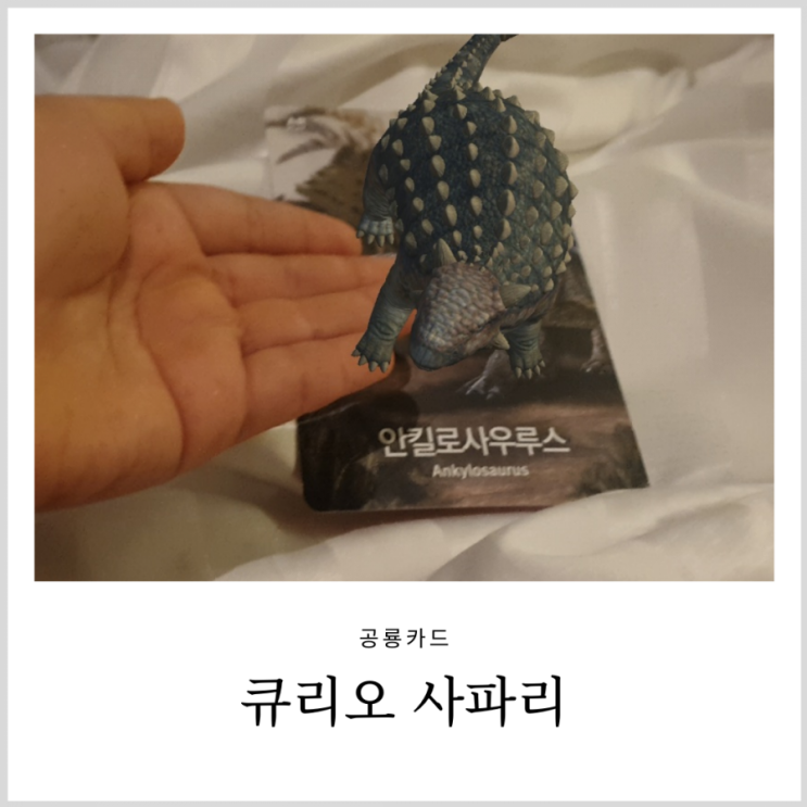 공룡카드 큐리오사파리 AR인식이 되는 동물카드 공룡카드 큐리오사파리 AR인식이 되는 동물카드