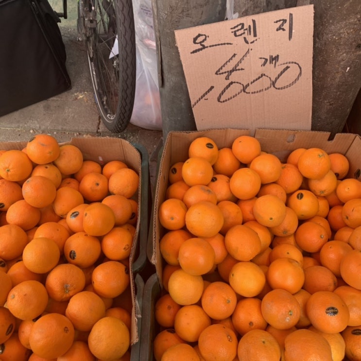  먹고 먹고 또 먹는 이야기