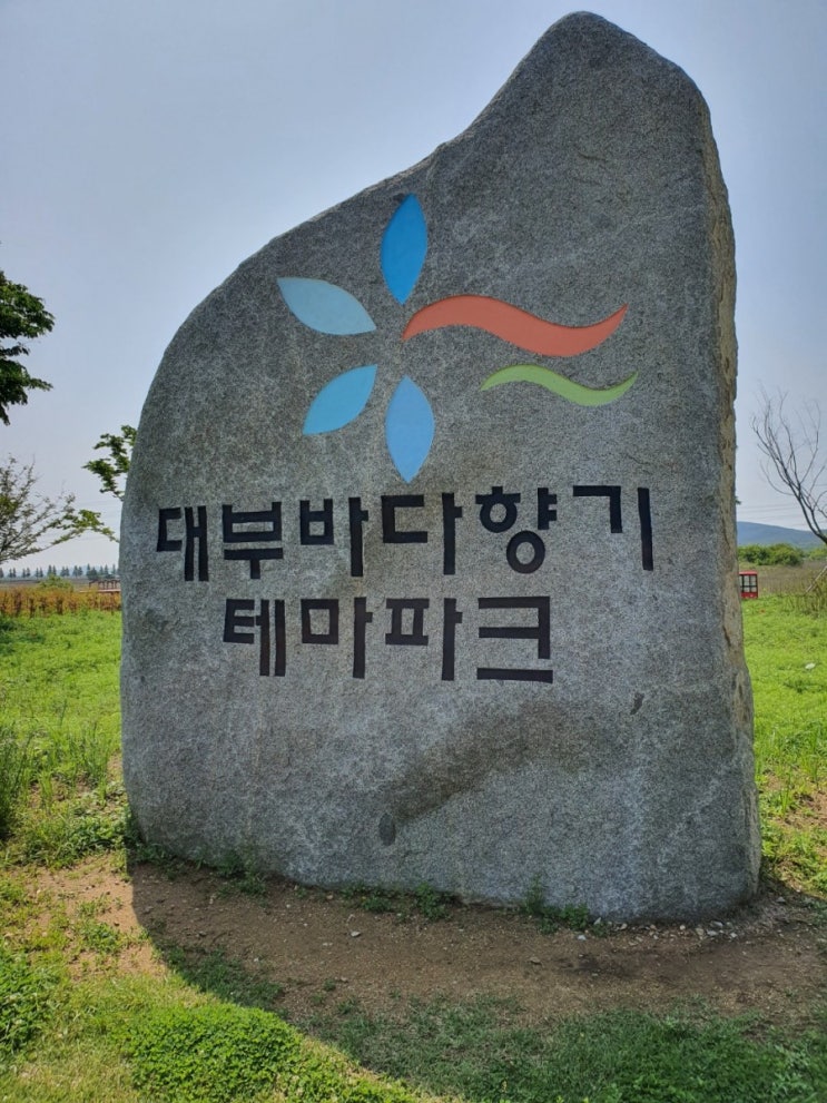  대부도 바다향기테마파크 대부도 가볼만한곳, 사진 찍기 좋은 곳