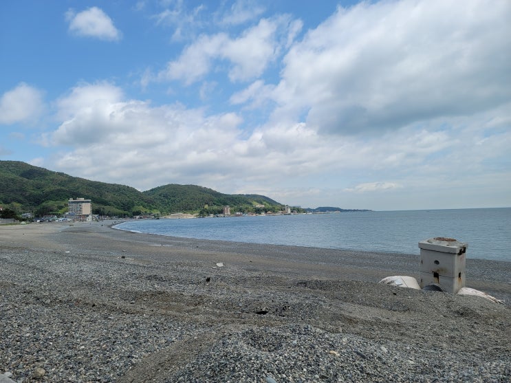  오늘일기 4일차 : 해물칼국수 먹고 커피 한잔