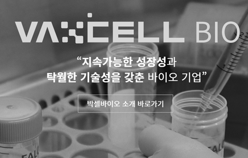 박셀바이오 급등, CAR-T 세포 치료제로 다시 전성기 되찾나