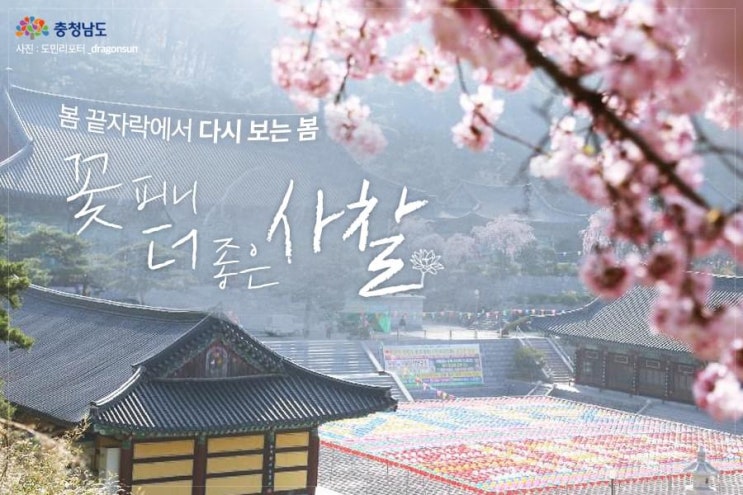 충남 가볼만한곳 꽃 피니 더 좋은 사찰 | 충남도청페이스북