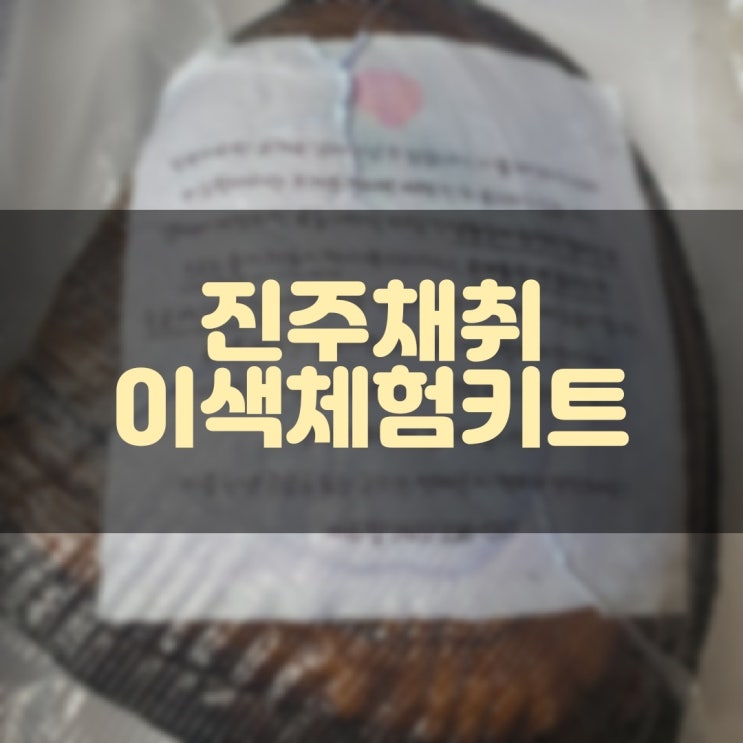  리얼 진주조개 진주채취 이색체험키트