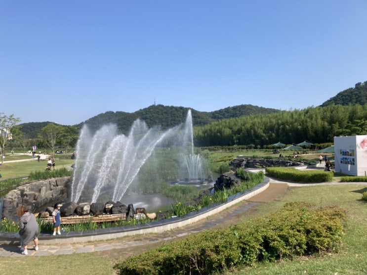  울산 태화강 국가정원 십리대숲 피크닉 하기좋은곳 아이들과 산책