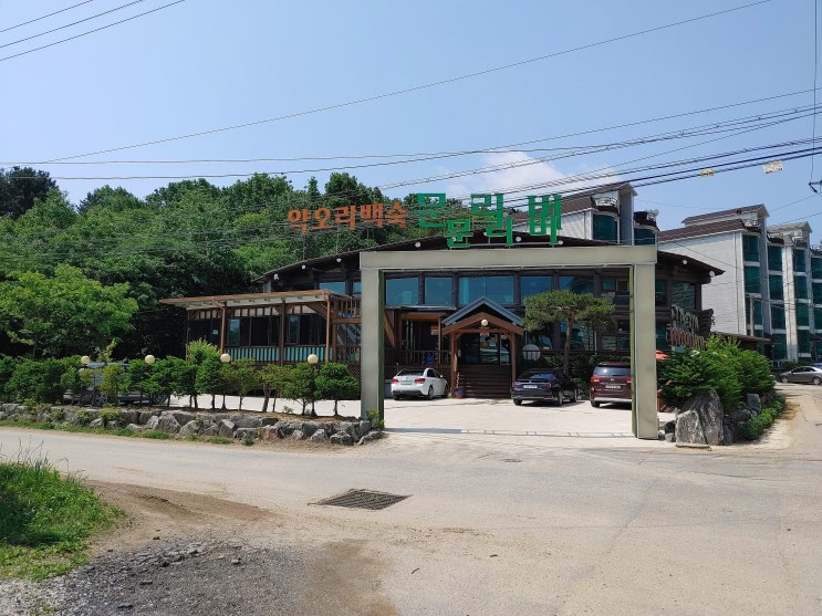 양평맛집, 약오리백숙 문리버 양평맛집, 약오리백숙 문리버