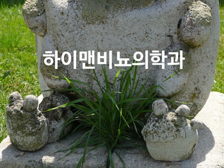  인유두종바이러스(HPV) 곤지름 뾰족콘딜로마 환자는 음모 관리를 어떻게 해야 할까?