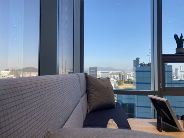  21.05.27 소피의 일기