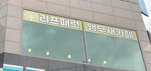  구래동 앵무새 카페 리프패럿 김포점 앵무새 분양 및 체험
