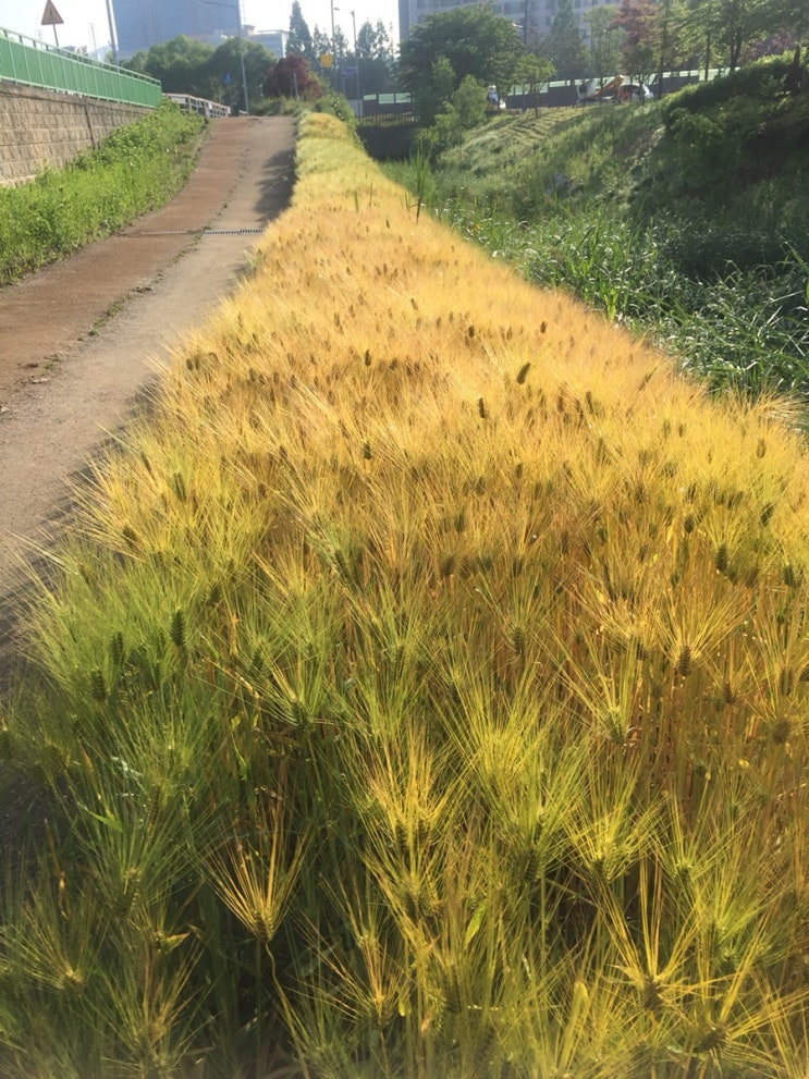  오늘일기 (5월28일)