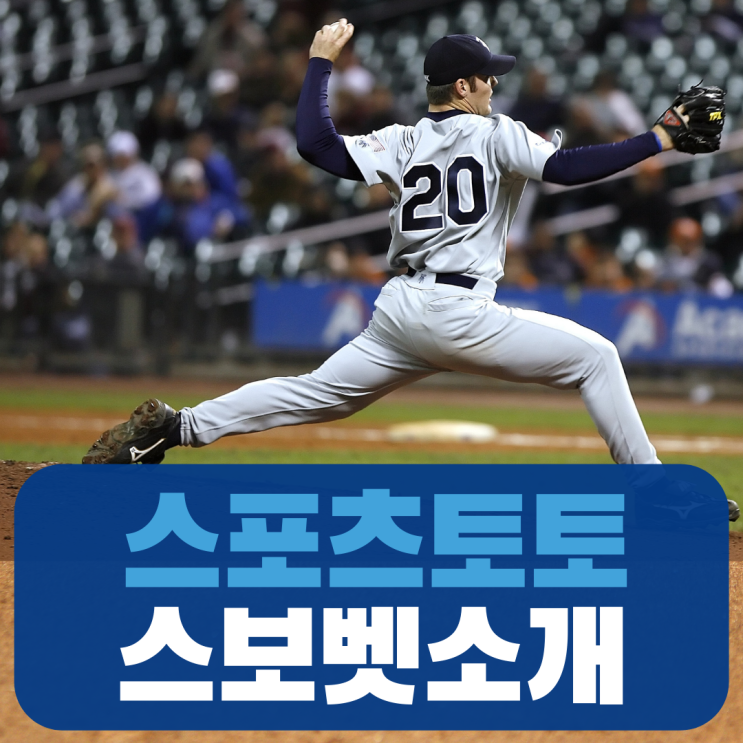  스포츠 토토 베팅사이트